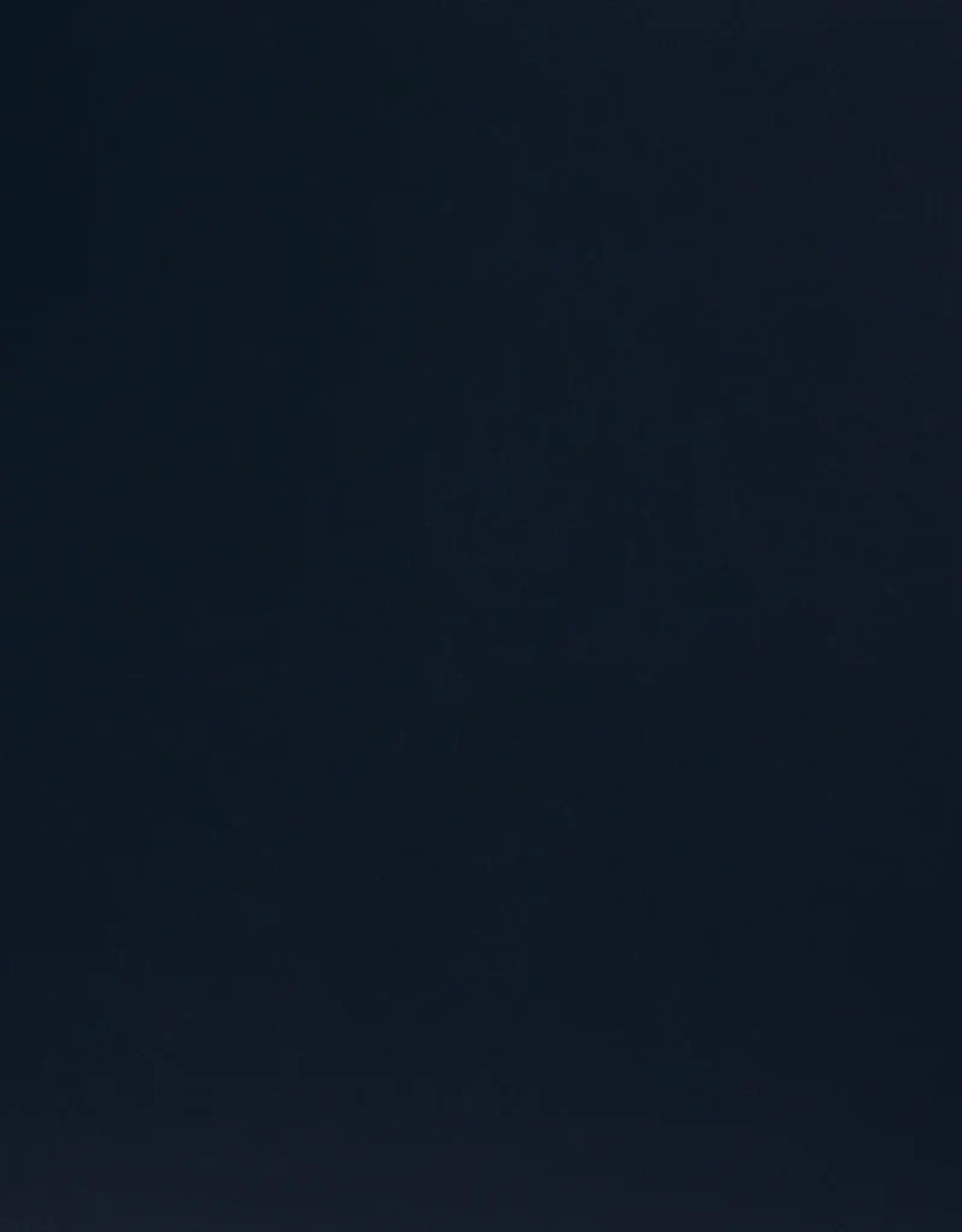 Crepe georgette navy