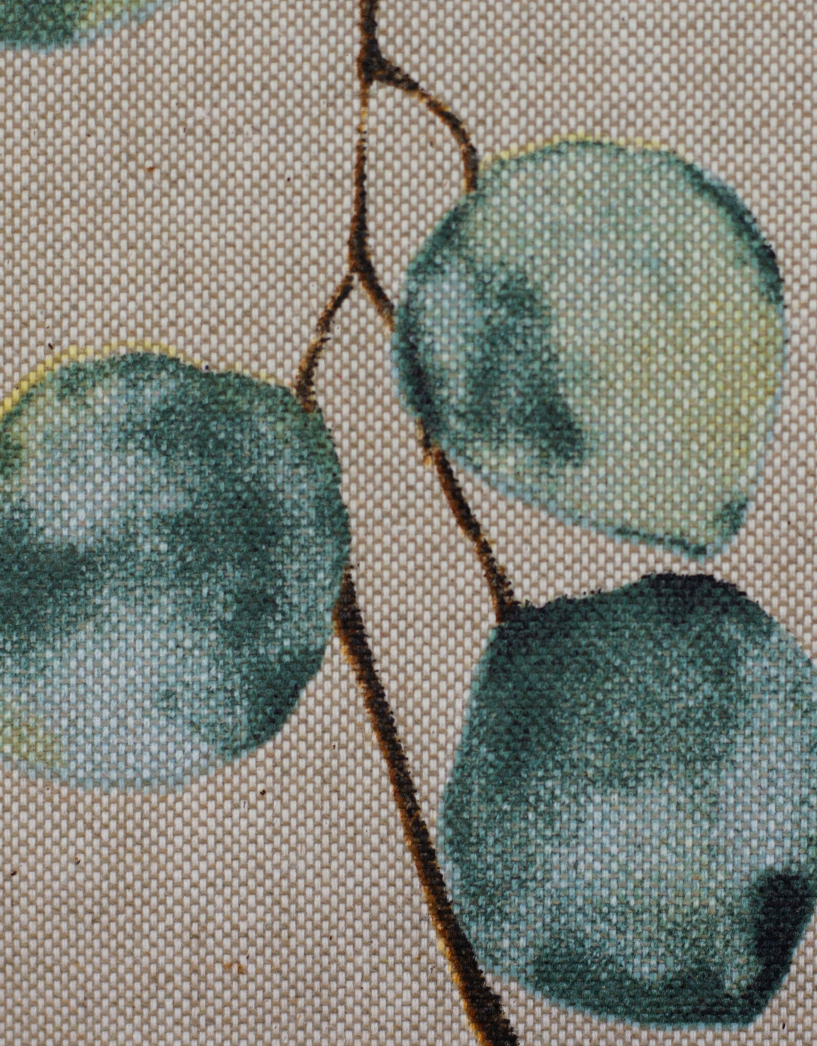 Gecoat katoen Eucalyptus beige