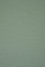 Jersey katoen  uni altmint Jersey katoen  uni altmint