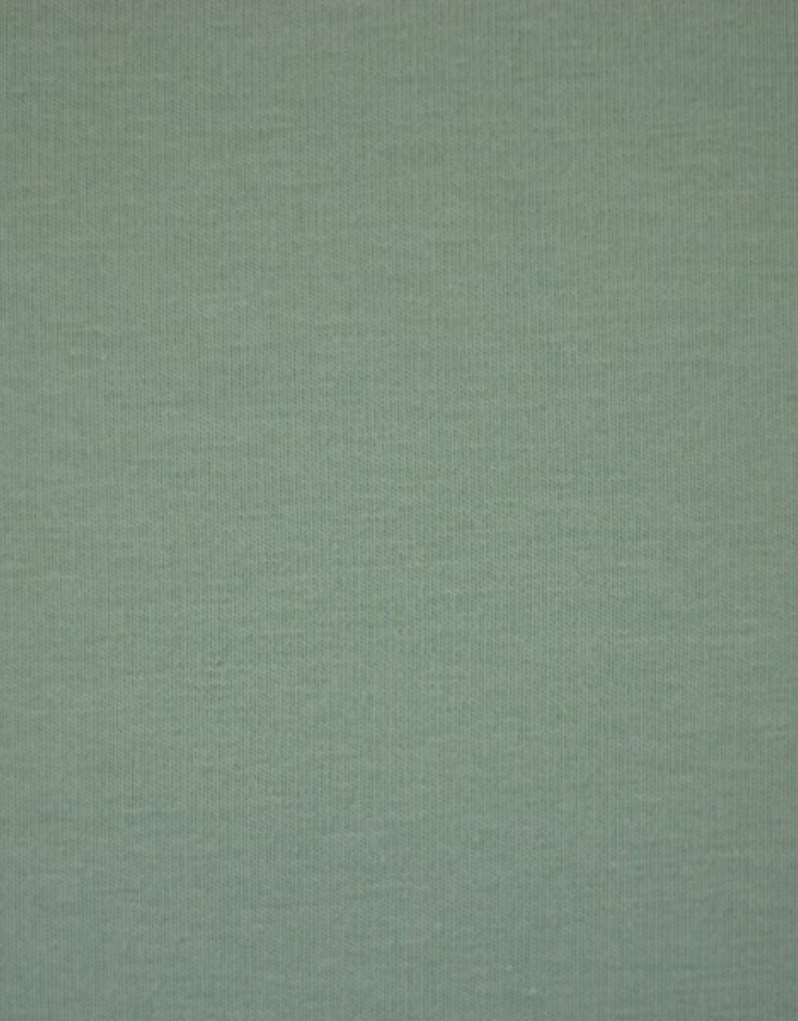 Jersey katoen  uni altmint