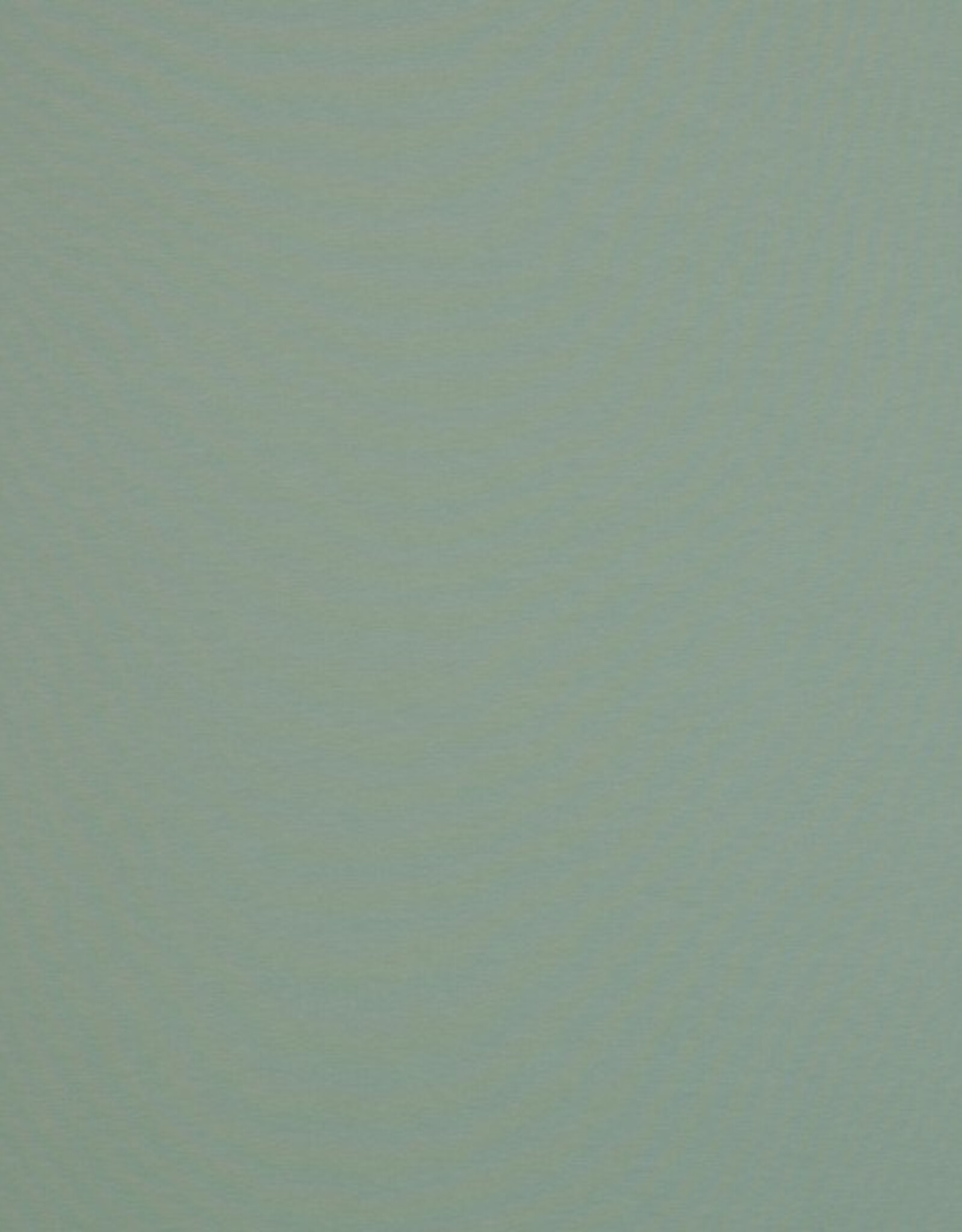 Jersey katoen  uni altmint