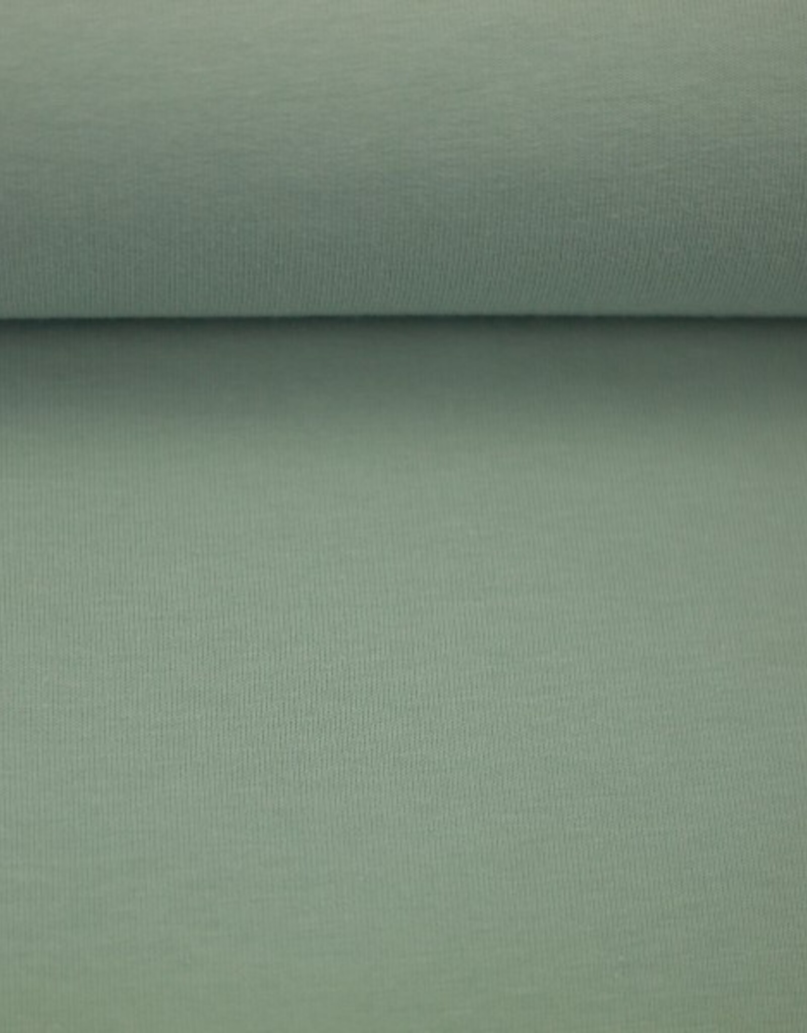 Jersey katoen  uni altmint