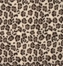 Curly fur leopard zand