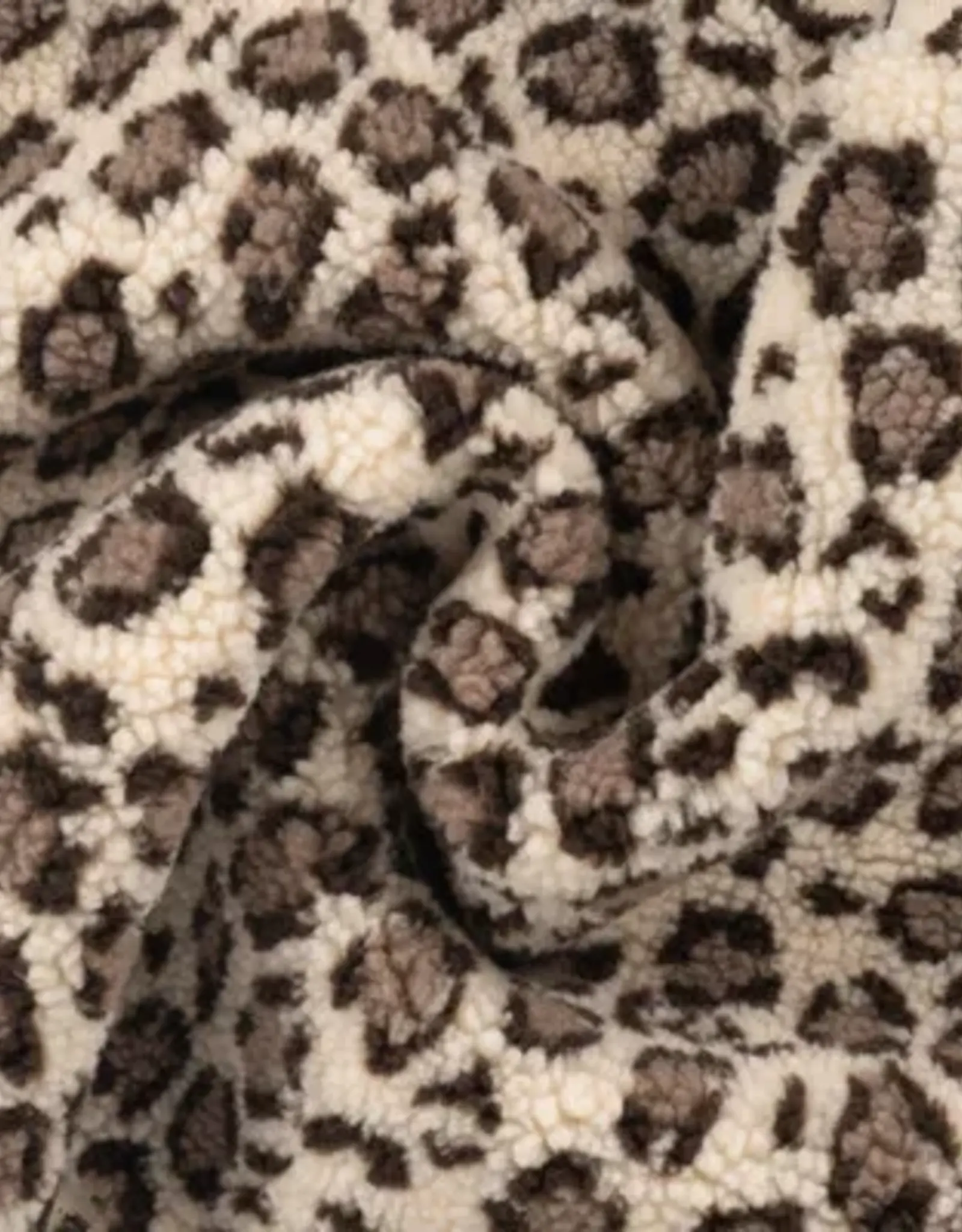 Curly fur leopard zand