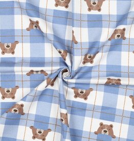 Flannel blauwe ruit beertjes