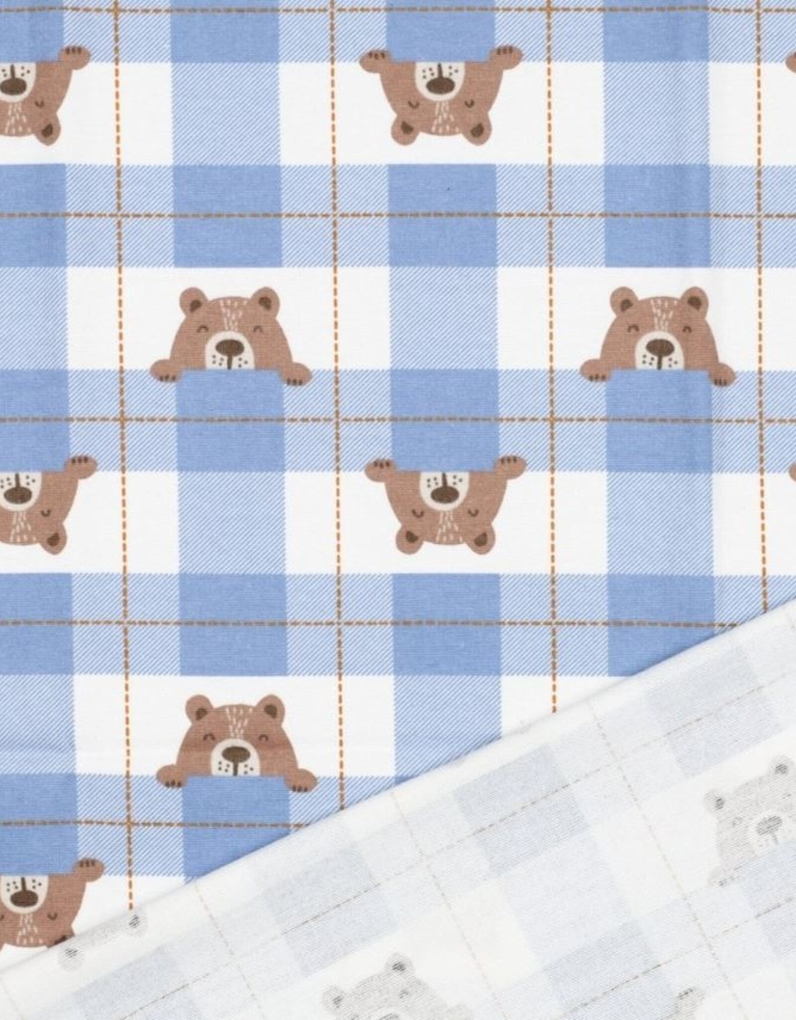 Flannel blauwe ruit beertjes