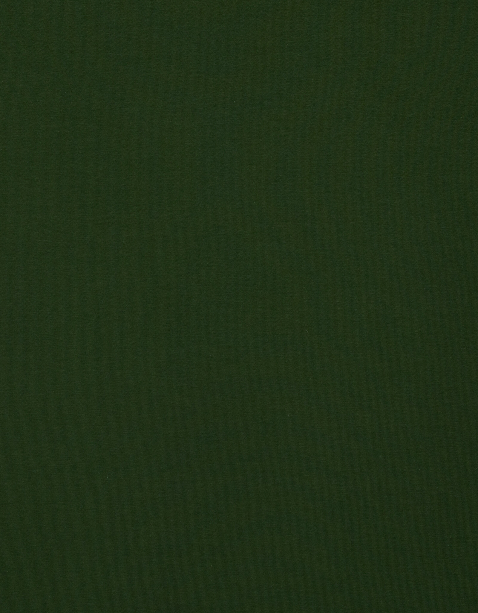 Jersey katoen  uni olijfgroen