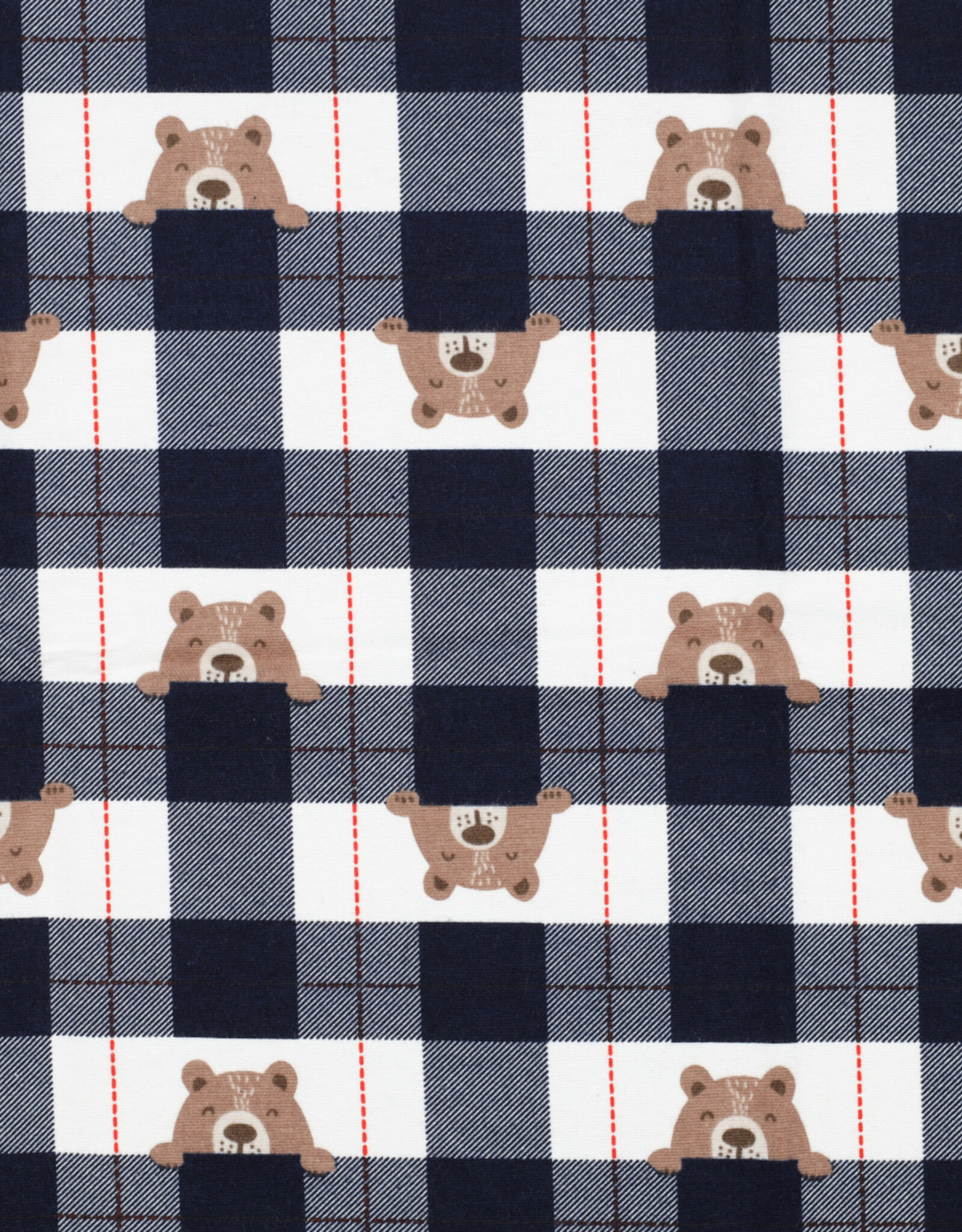 Flannel Navy  ruit beertjes