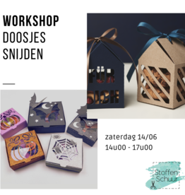 workshop Workshop doosjes snijden juni 2025