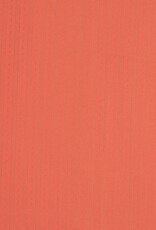 Pointoille Tiana koraal Pointoille Tiana koraal