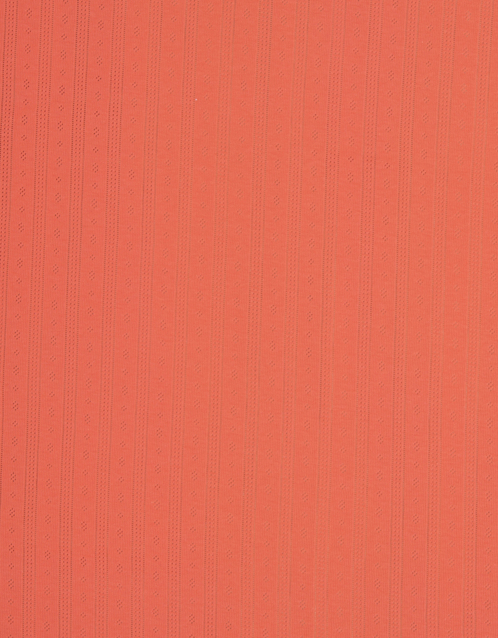 Pointoille Tiana koraal