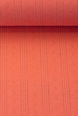 Pointoille Tiana koraal Pointoille Tiana koraal