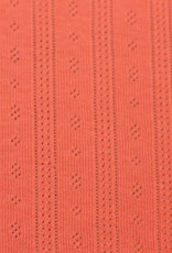 Pointoille Tiana koraal Pointoille Tiana koraal