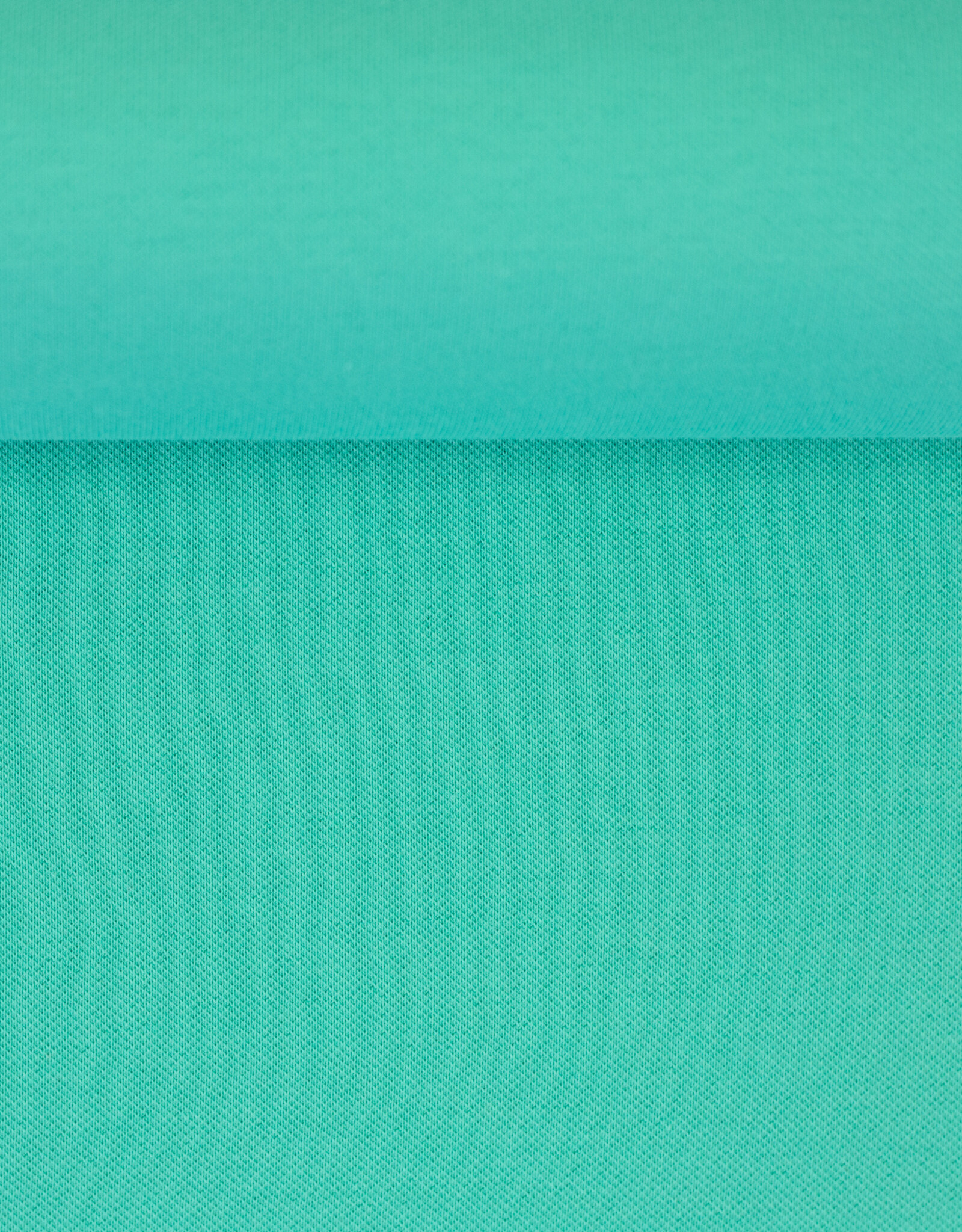Pique jersey mint