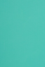 Pique jersey mint Pique jersey mint