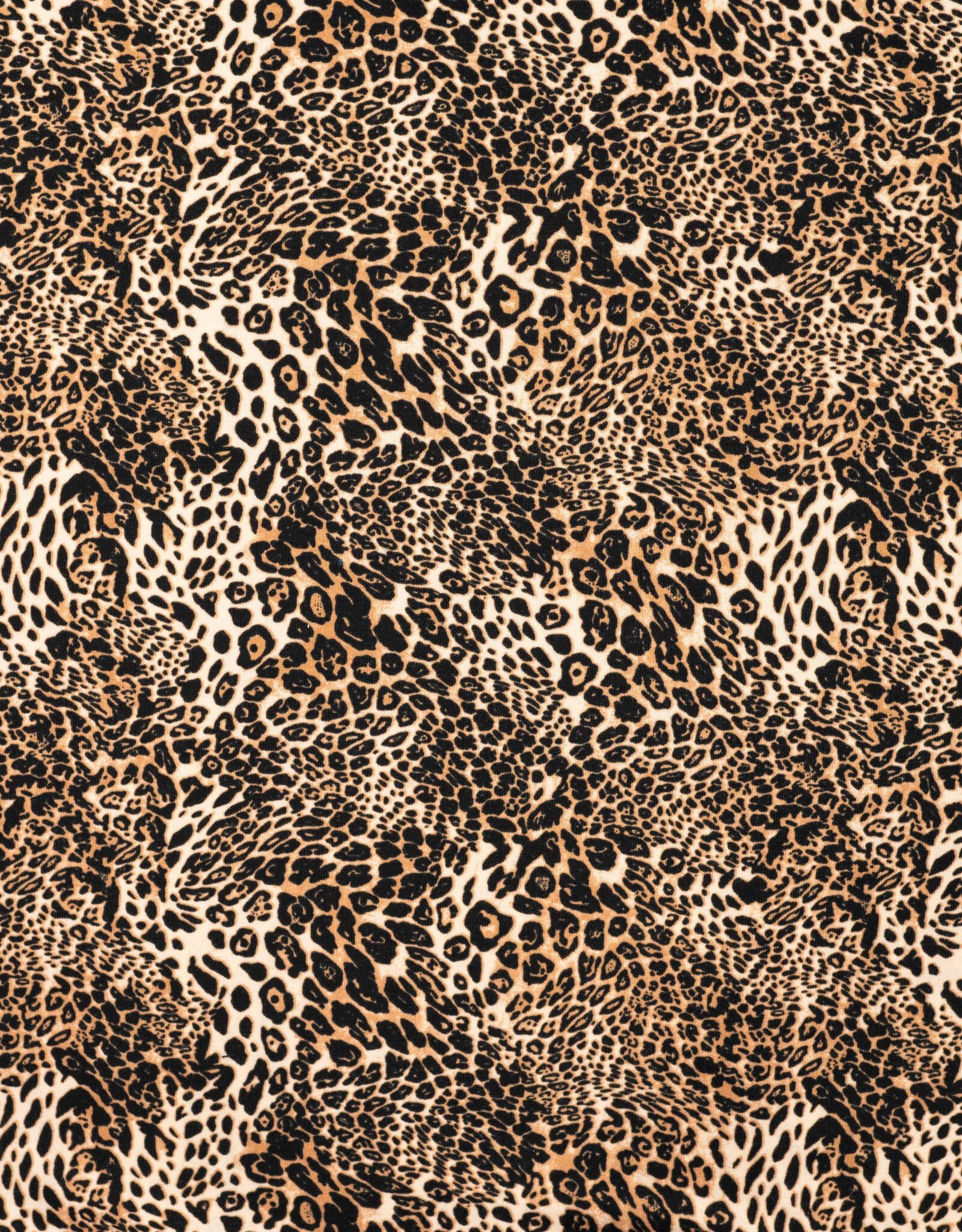 French terry  leopard print