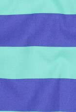 Canvas strepen mint en blauw