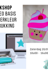 Workshop Cameo basis + meerkleurige bedrukking in flex 20 september Workshop Cameo basis + meerkleurige bedrukking in flex 20 september