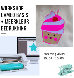 Workshop Cameo basis + meerkleurige bedrukking in flex 20 september