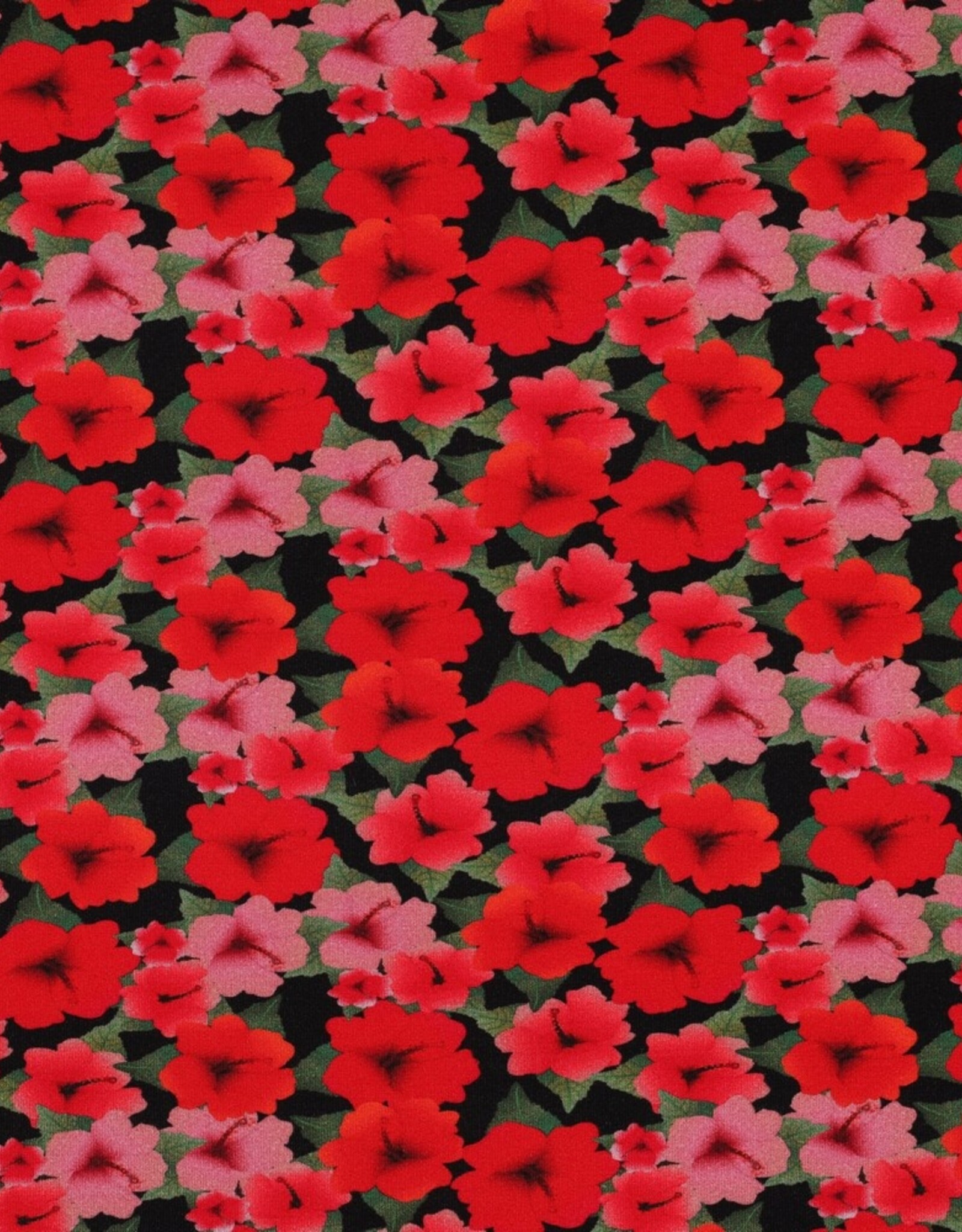 Viscose jersey digital bloemen rood