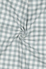 Flannel checks sage wit