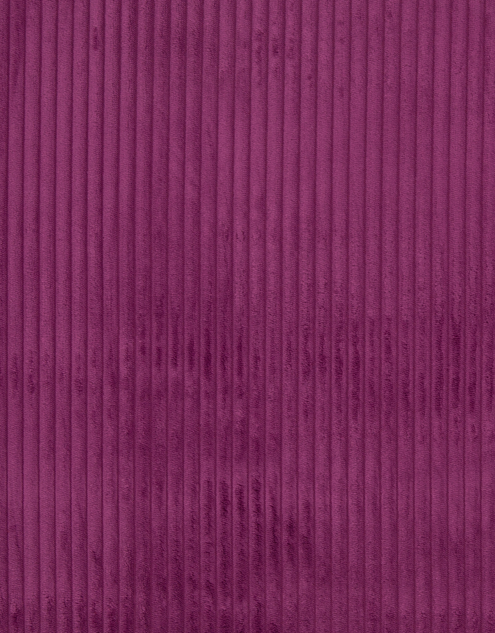 Wanja grof ribvelours fuchsia