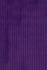 Wanja grof ribvelours purple