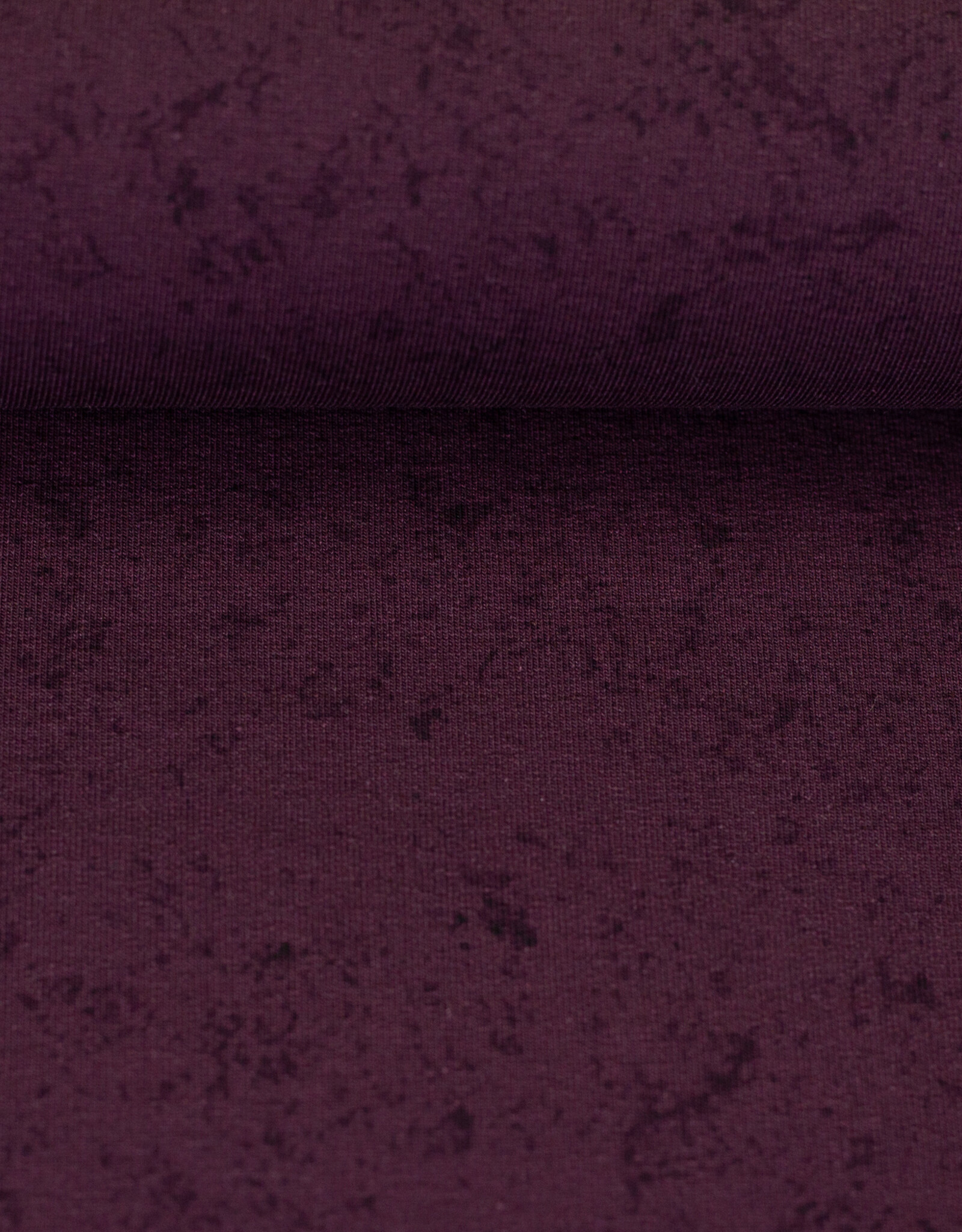 French terry  stay curious bordeaux - Thorsten Berger