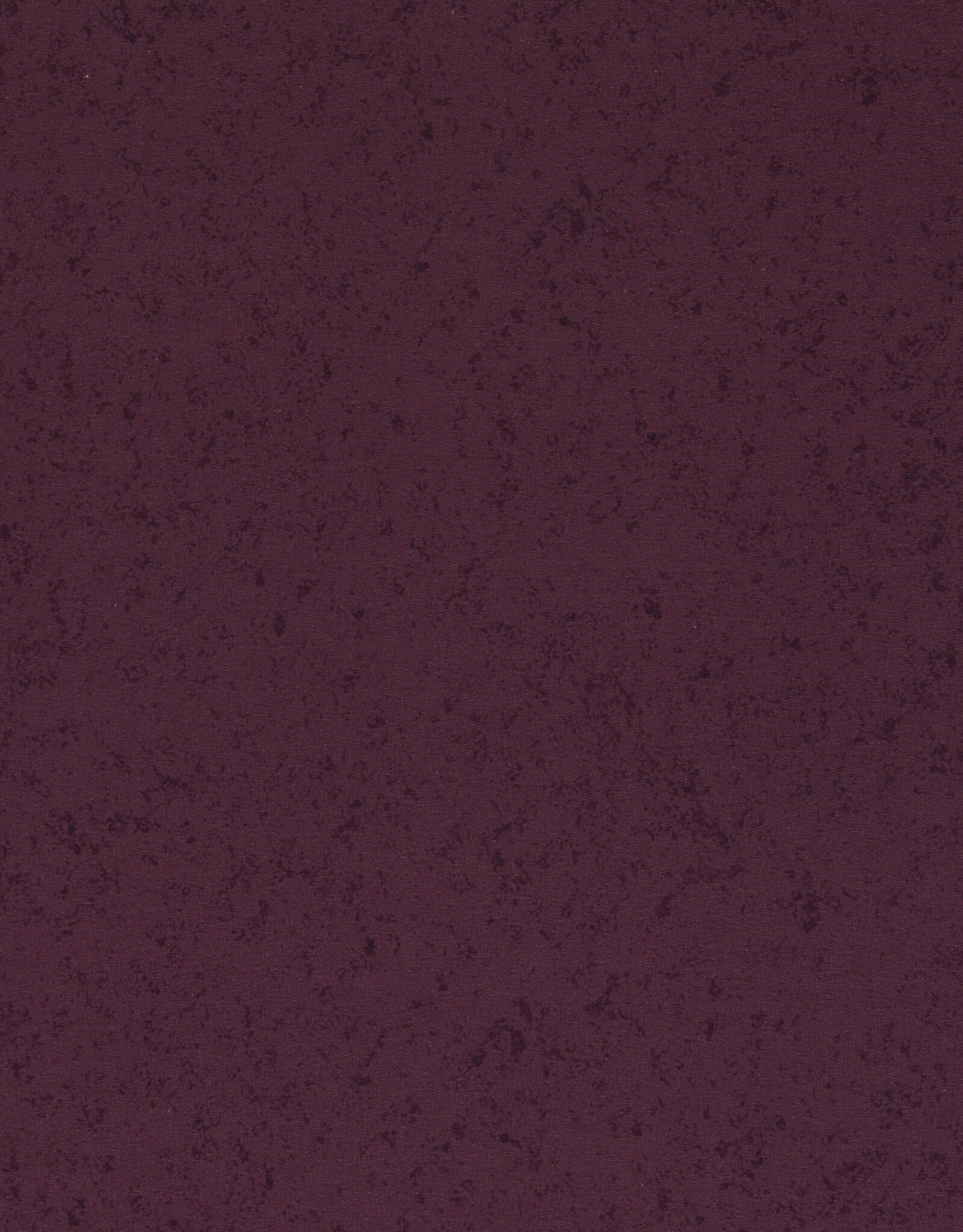 French terry  stay curious bordeaux - Thorsten Berger