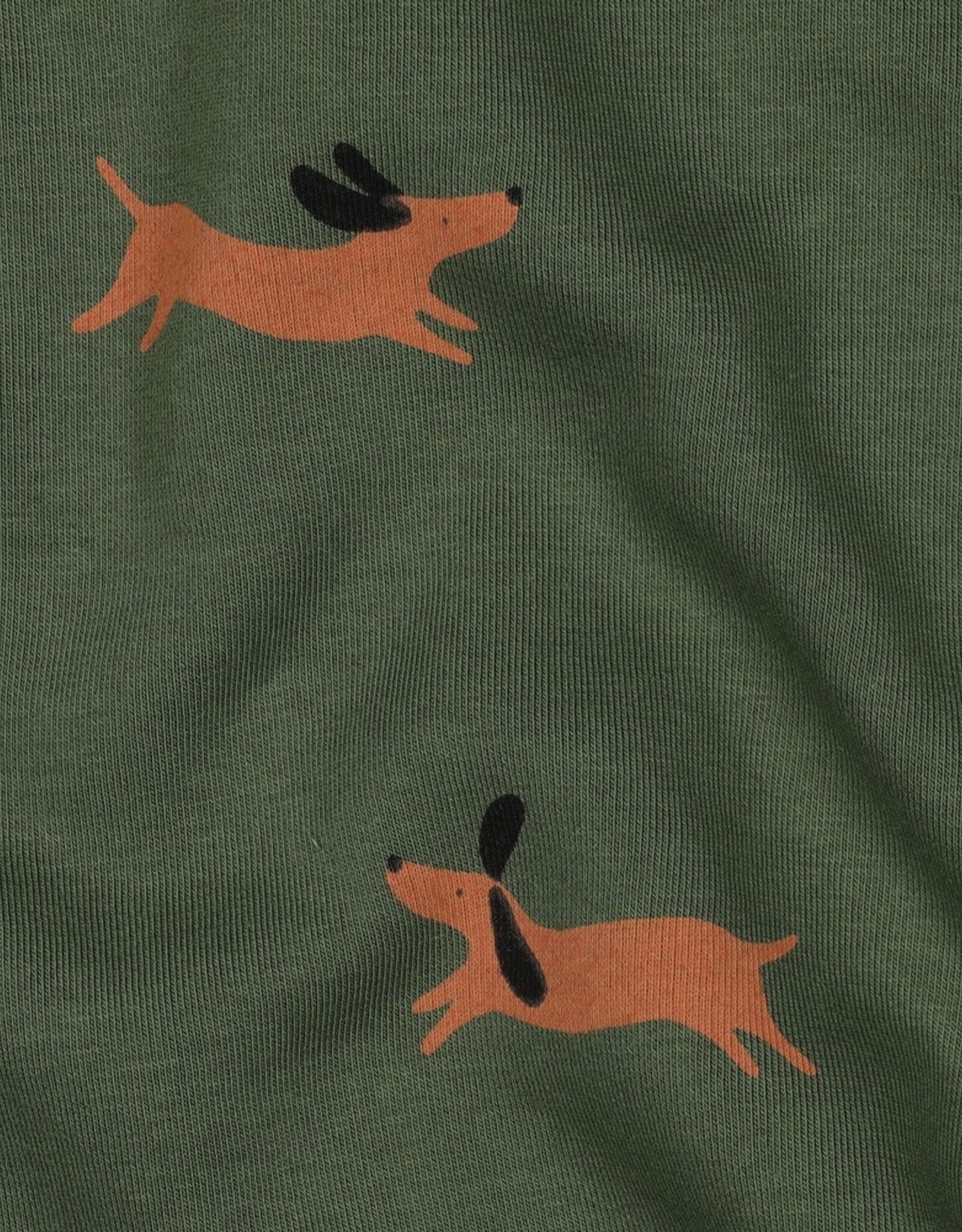 Jogging honden forest green