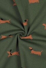 Jogging honden forest green