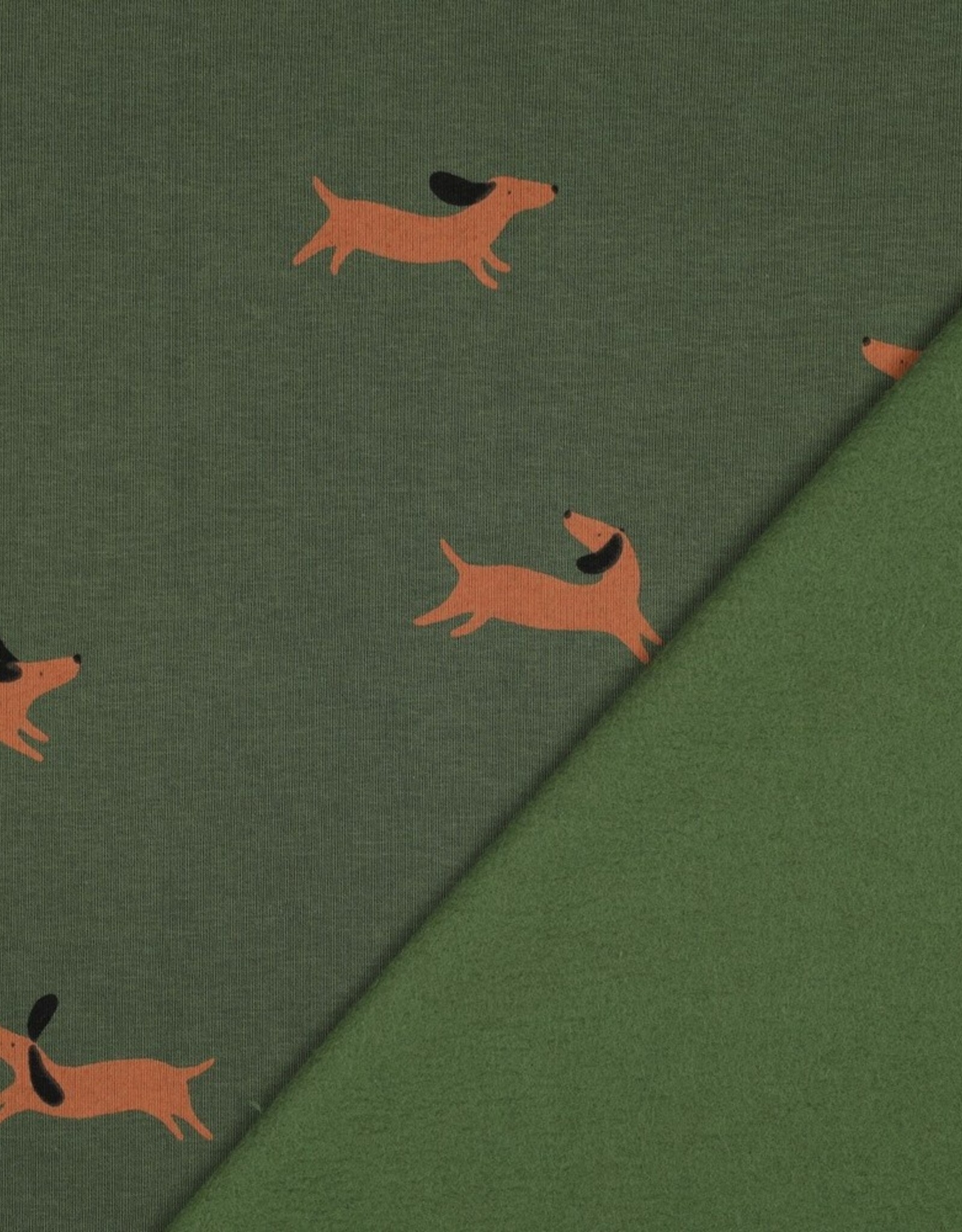 Jogging honden forest green