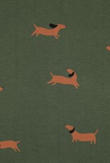 Jogging honden forest green