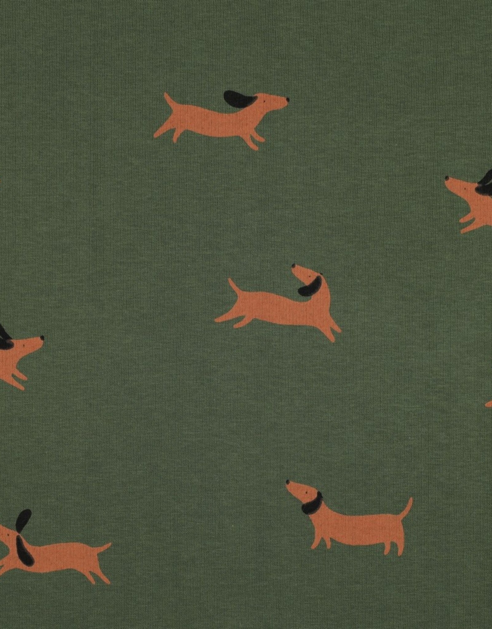 Jogging honden forest green