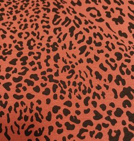 Heavy jogging  leopard terracotta Carmel