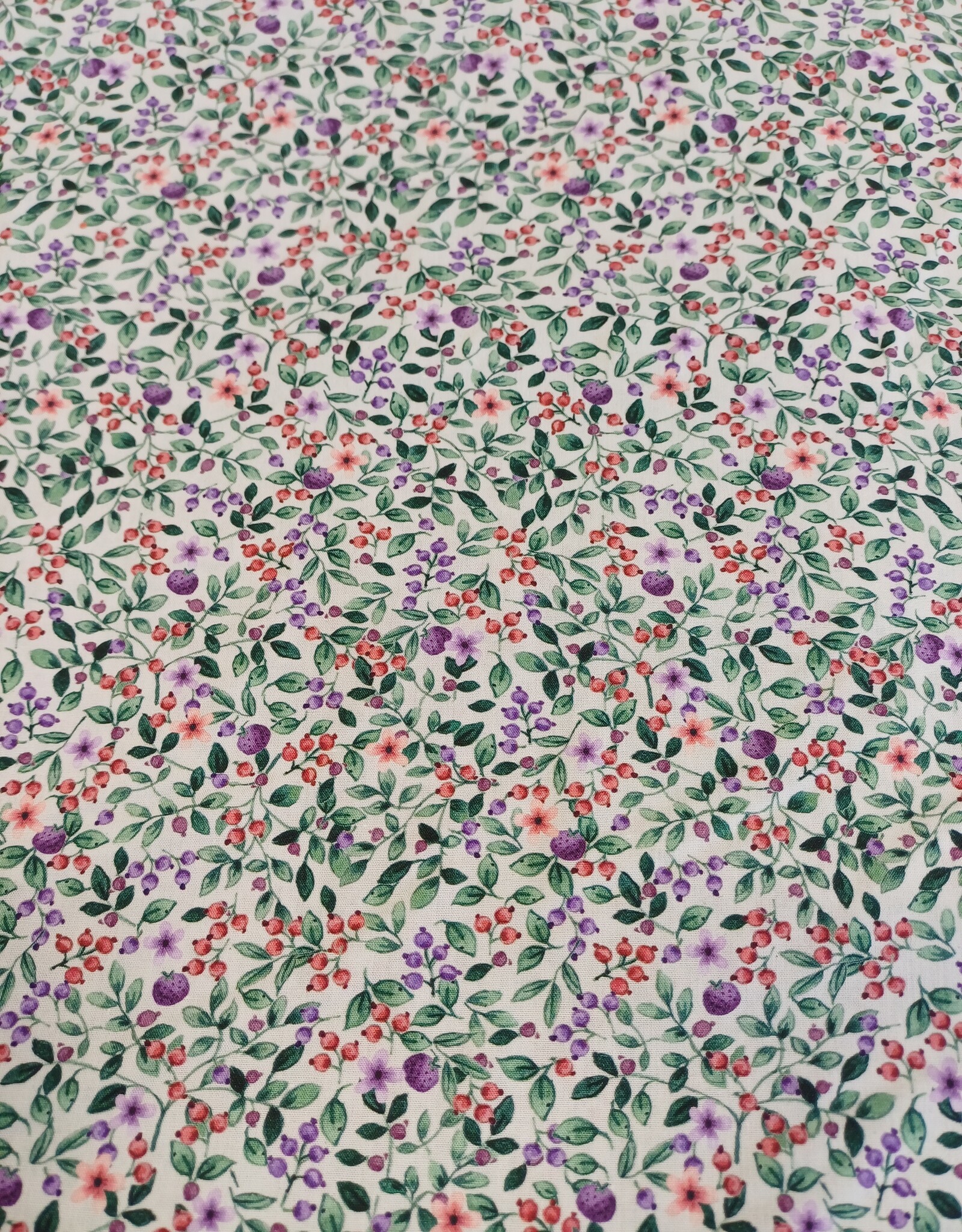 Katoen poplin kleine bloemen en besjes