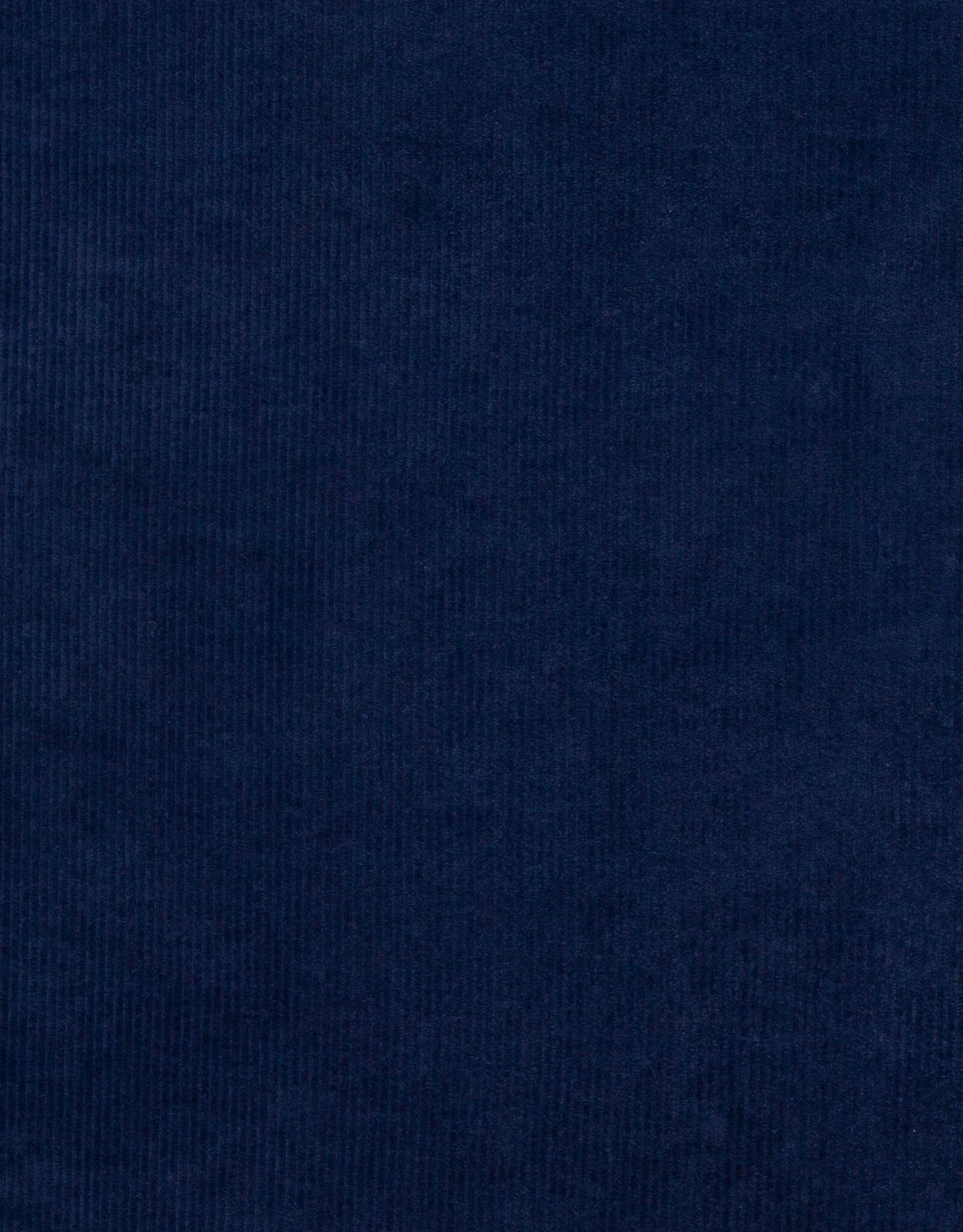 Juna elastisch ribfluweel marine