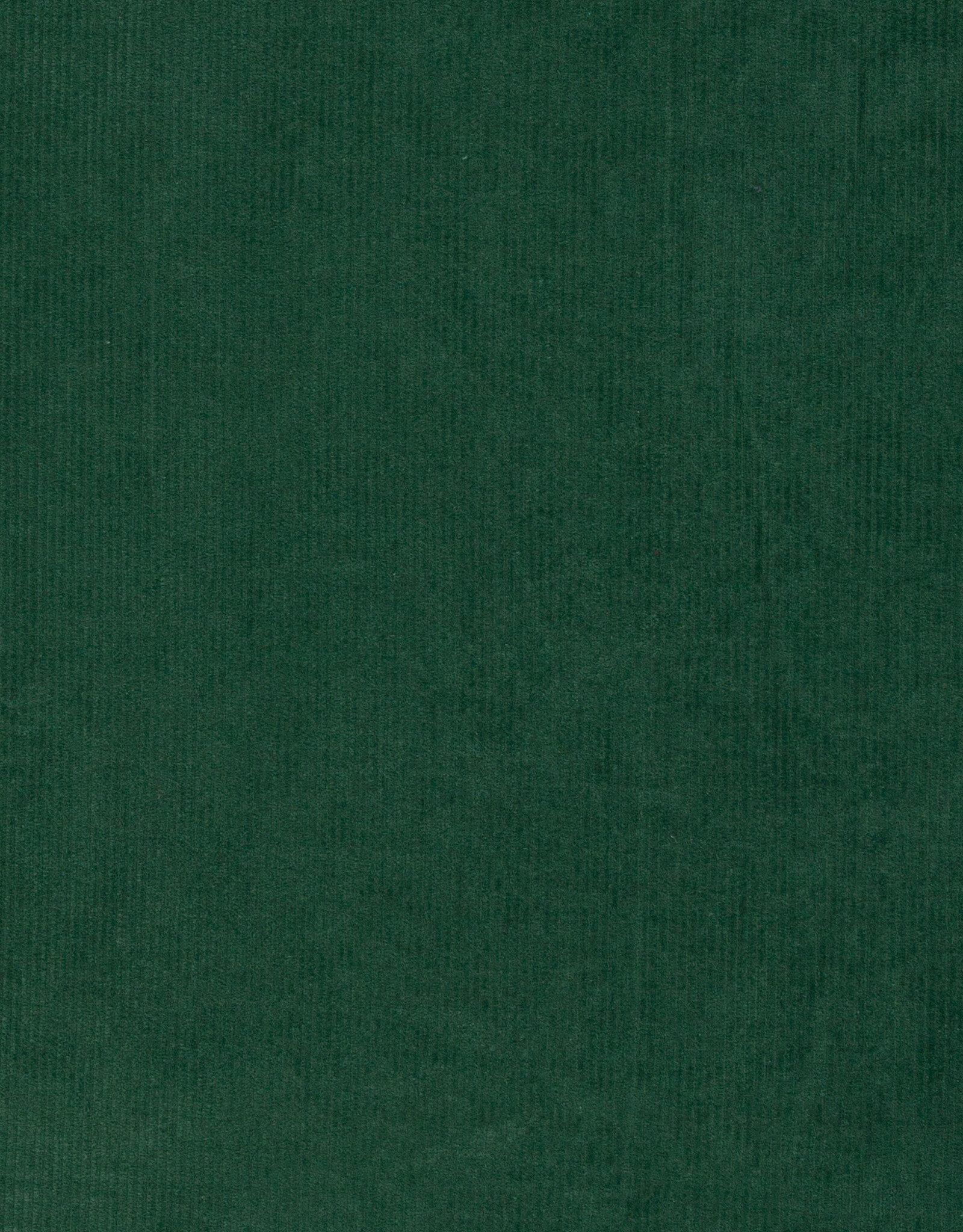 Juna elastisch ribfluweel donker groen