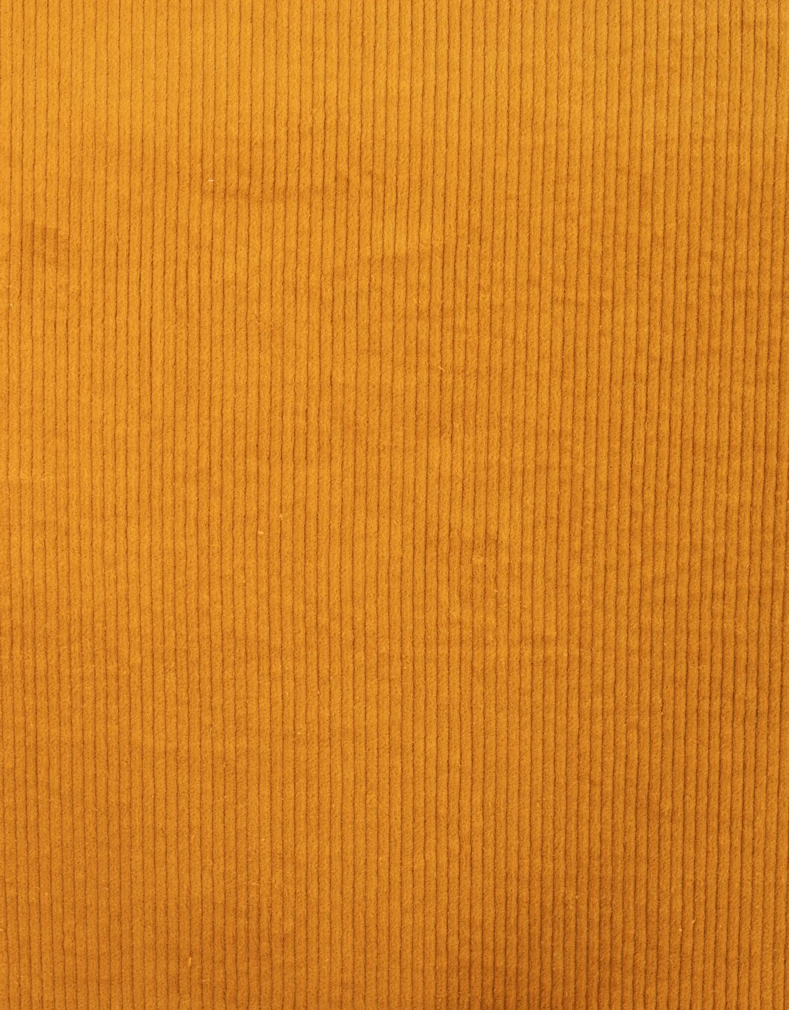 Corduroy met stretch - 8W - oker