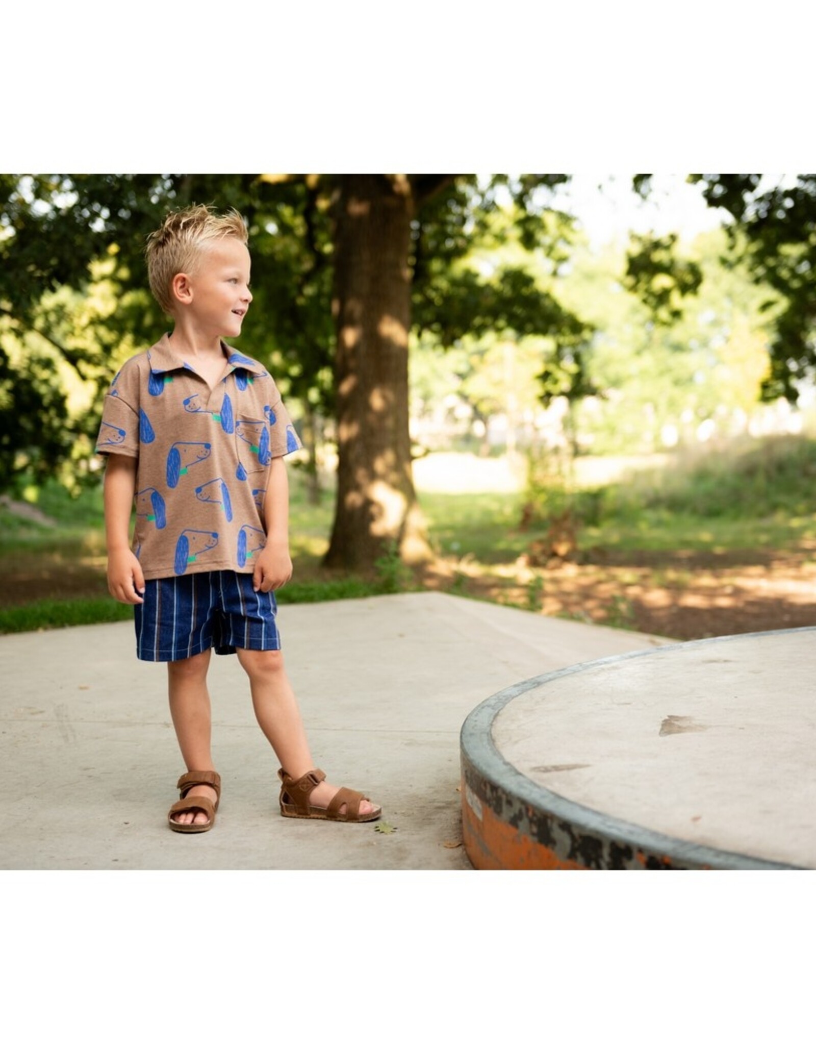 Jersey bruin mélange met kobalt hondenkop