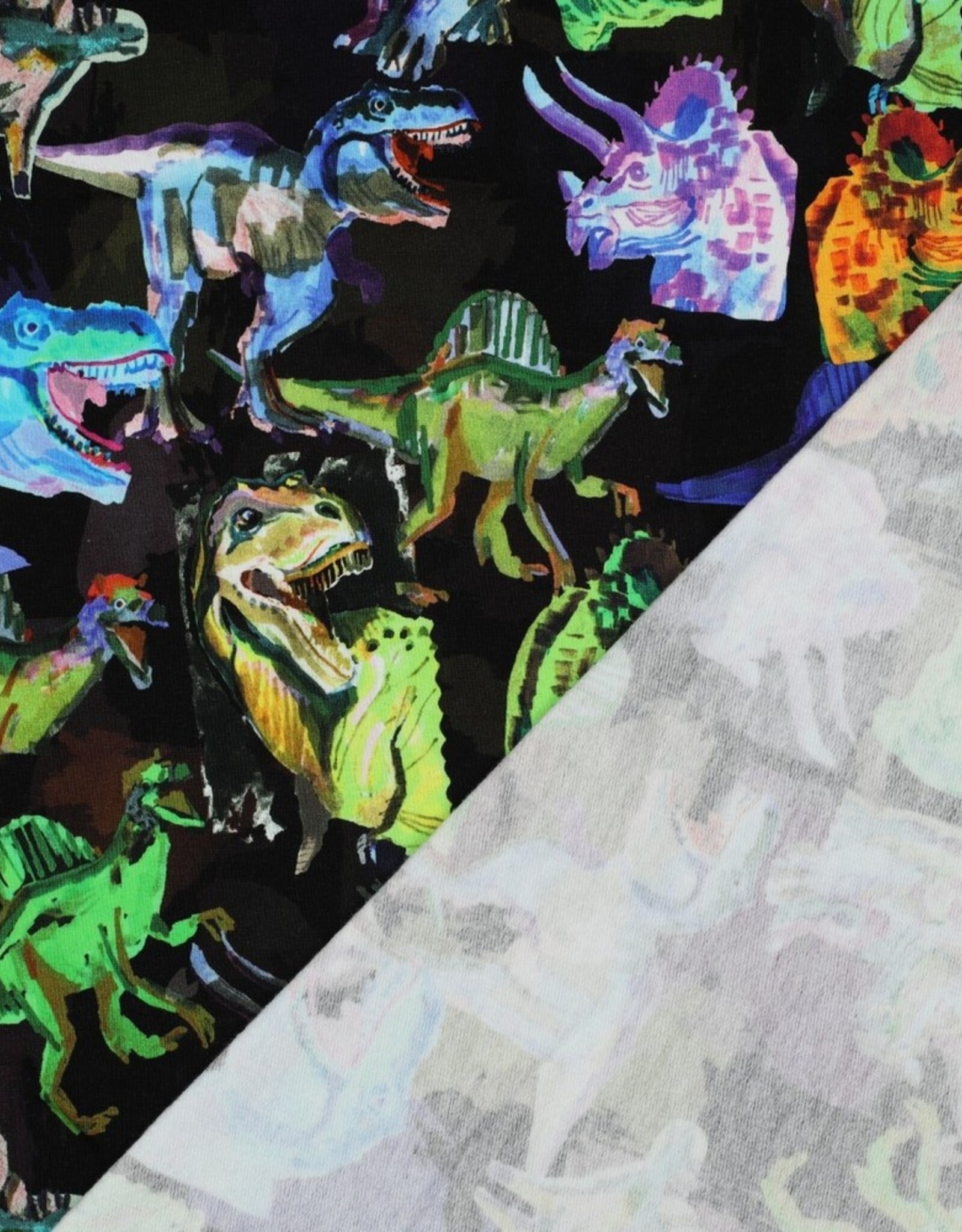 French terry digitaal bedrukt dinosaurrussen zwart