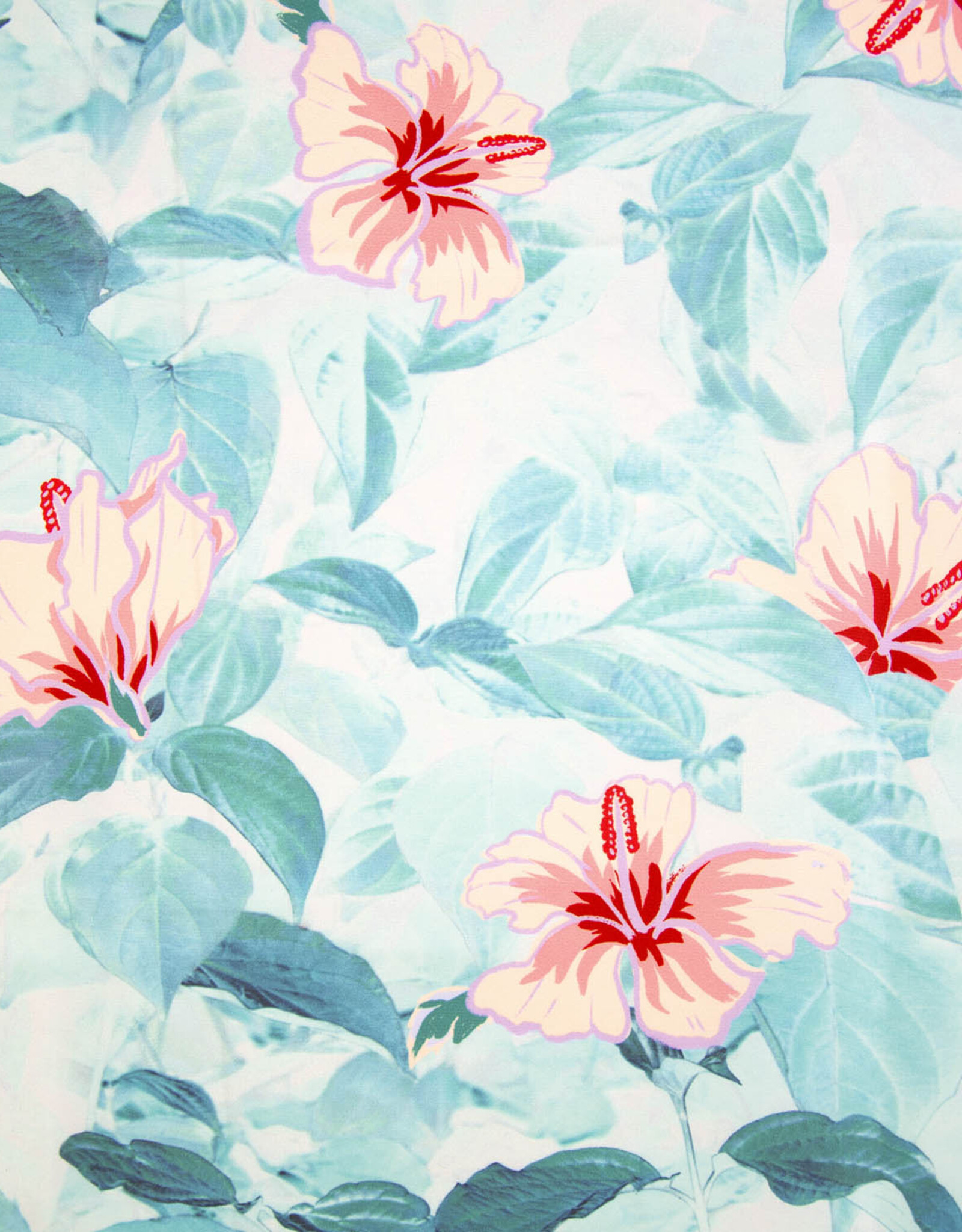 Windbreak Sport Hibiscus mint