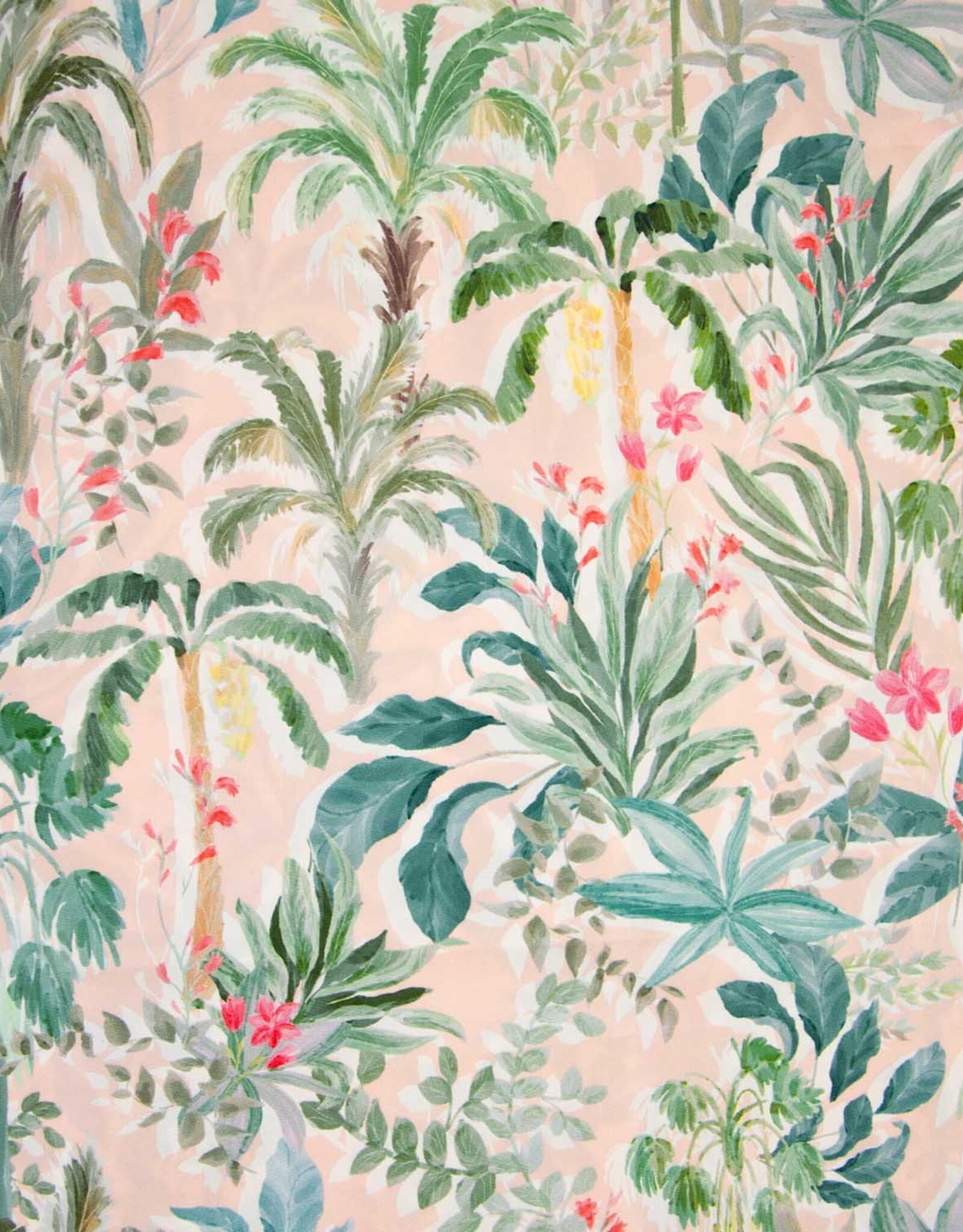 Windbreak Sport Cacao Fruit Palm