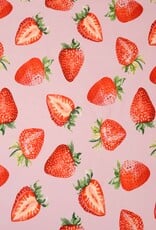 French terry Fragola