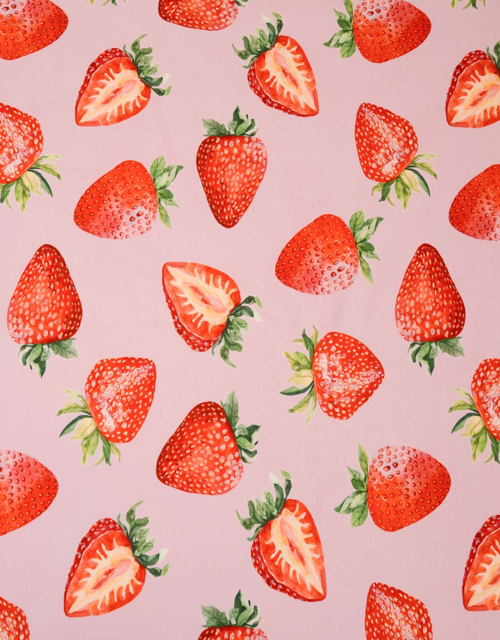 French terry Fragola