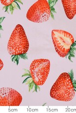 French terry Fragola