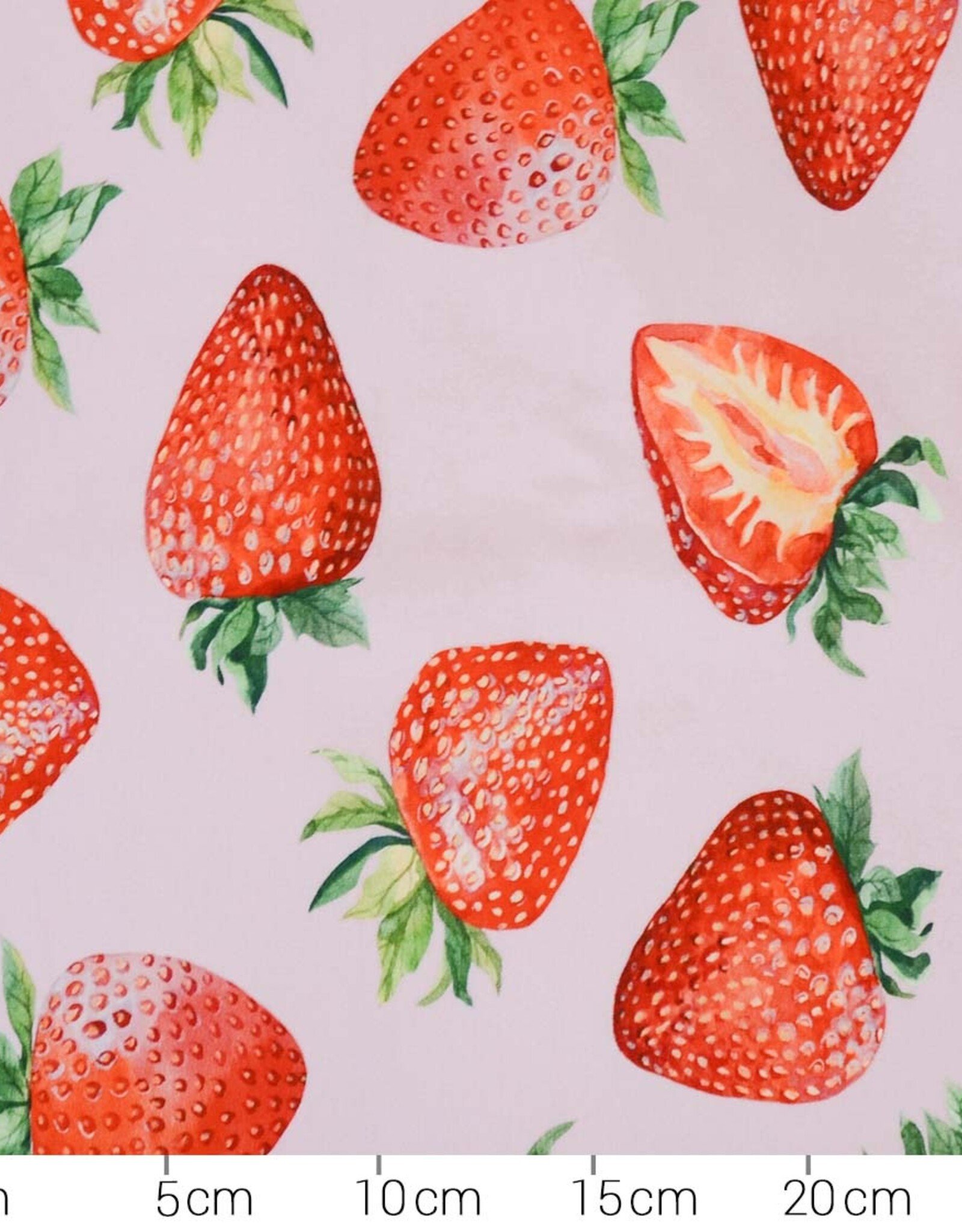 French terry Fragola