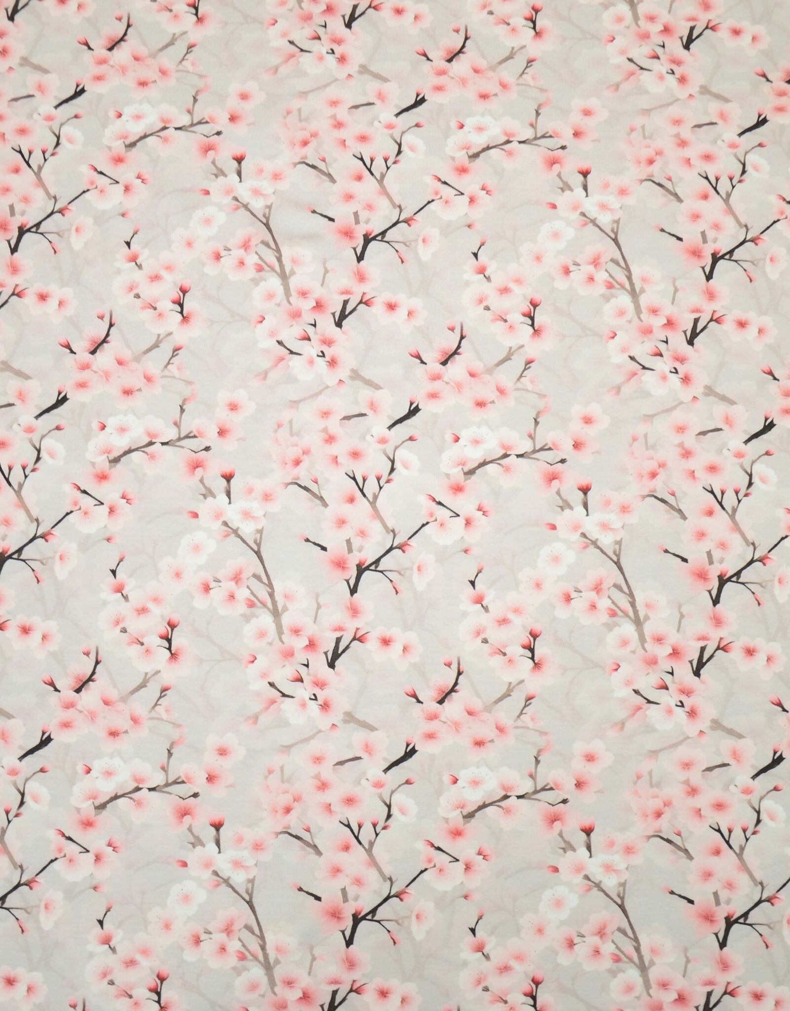 Katoenjersey kersenbloesem