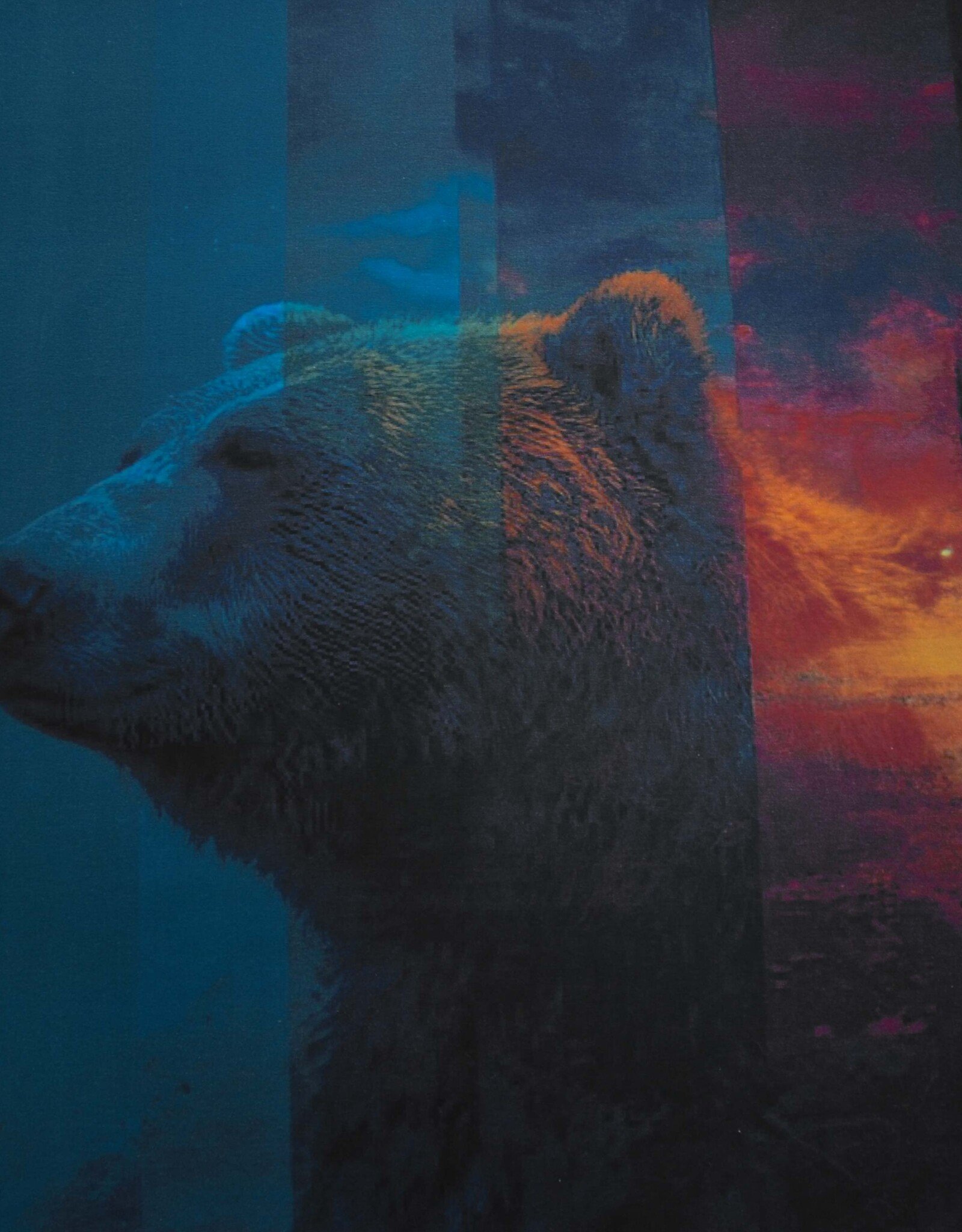 Paneel jersey Bruno bruine beer 110x150cm