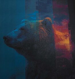 Paneel jersey Bruno bruine beer 110x150cm